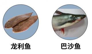 巴沙鱼和龙利鱼,是一种鱼吗他们的肉质很像吗 巴沙鱼和龙利鱼